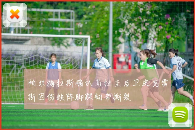 帕尔梅拉斯确认乌拉圭后卫皮克雷斯因伤缺阵脚踝韧带撕裂